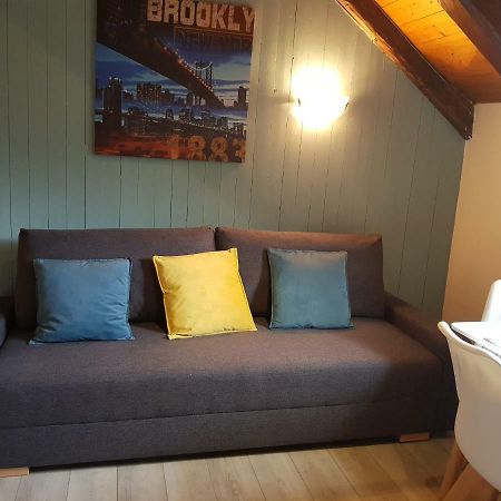 Studio Duplex Place De La Grenette 萨莱切 外观 照片