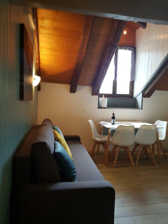 Studio Duplex Place De La Grenette 萨莱切 外观 照片