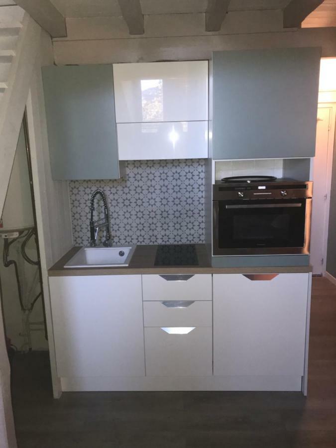 Studio Duplex Place De La Grenette 萨莱切 外观 照片